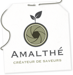 logo-amalthe